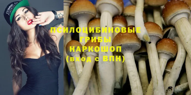 Галлюциногенные грибы Cubensis  сколько стоит  OMG ссылка  Челябинск 